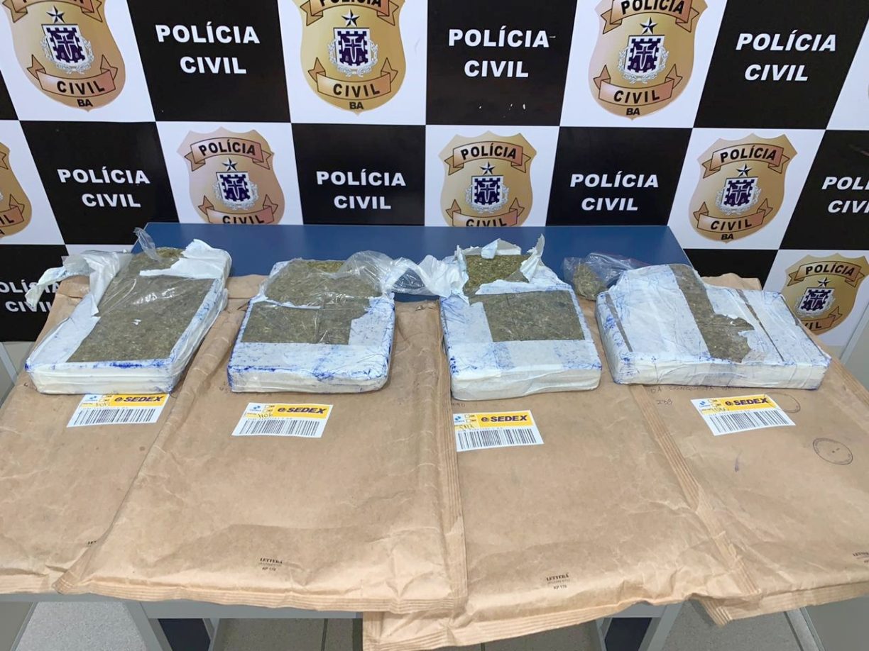SUÍÇA BAIANA: ENTRARAM NUMA FRIA | POLÍCIA CIVIL DESCOBRE ESQUEMA DE DISTRIBUIÇÃO DE CHIBAMBA PELOS CORREIOS.