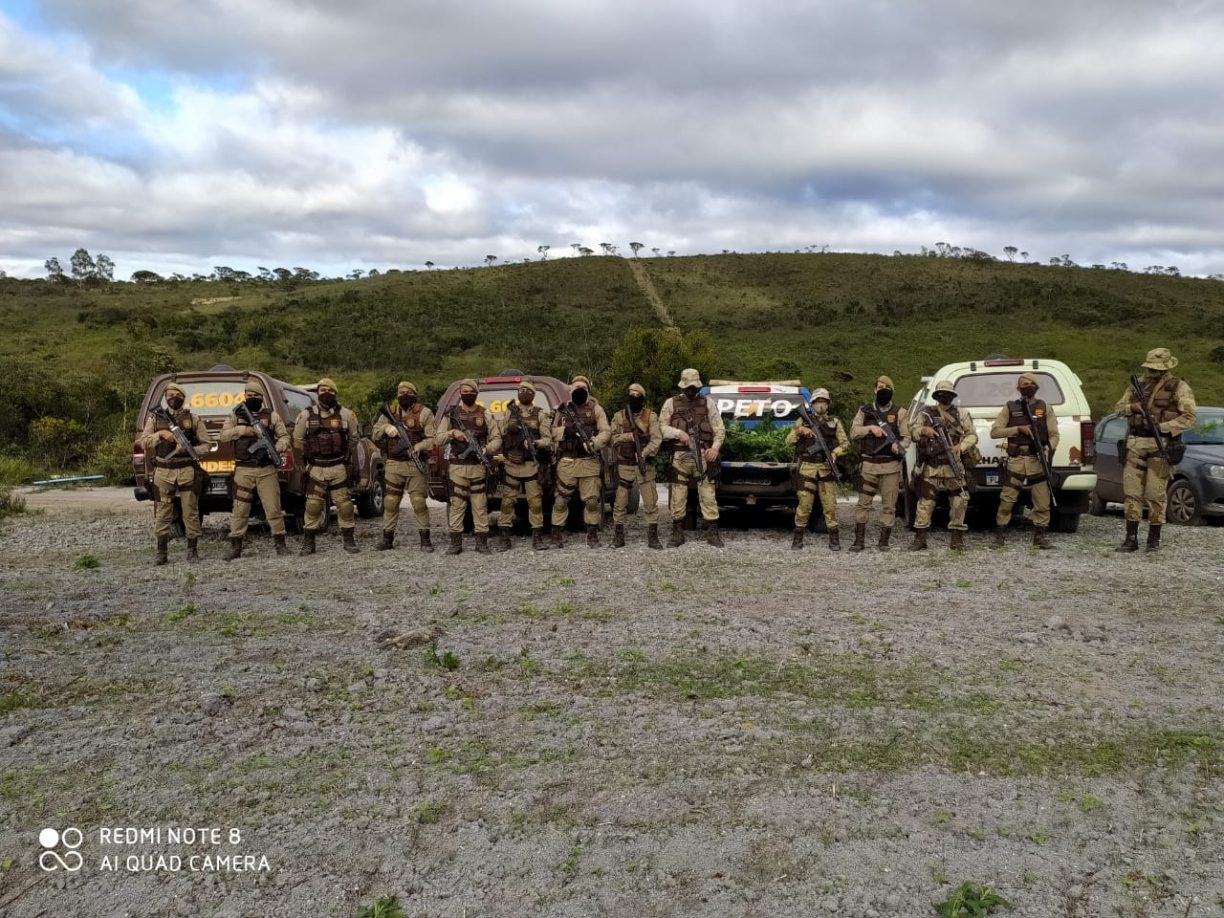 Chapada: Fogo na Fazendinha | Roça de maconha e três criminosos localizados em Mucugê