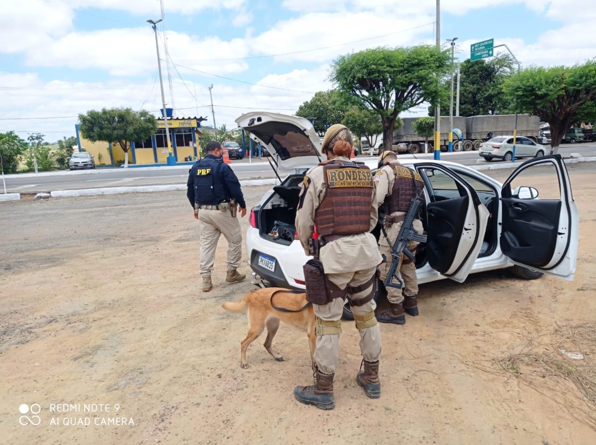Xulinha farejou traficante passa mal | Cadela da Rondesp Chapada acha Chibamba em carro, PRF e PM prende casal de lazarentos.