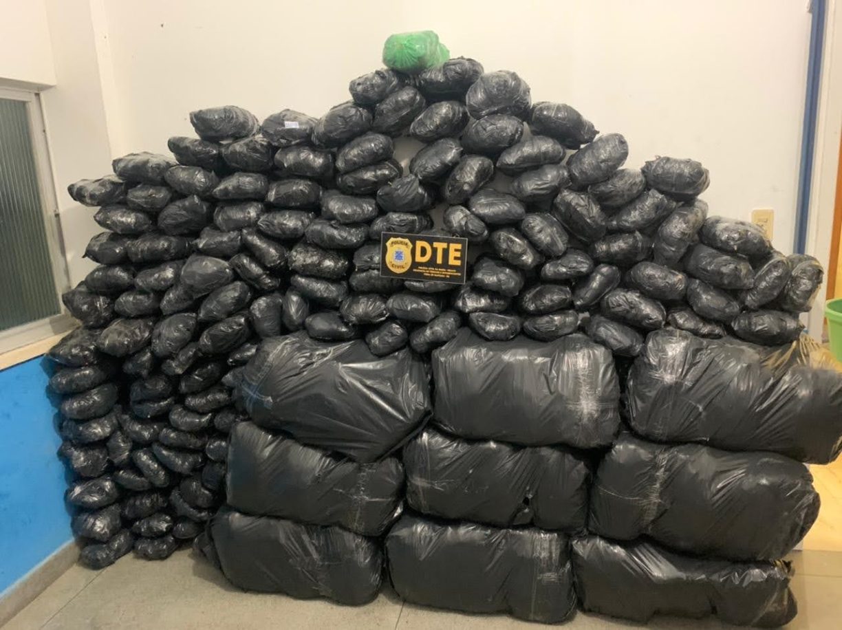 BROCADA! TRÁFICO DE DROGAS | POLÍCIA CIVIL FAZ APREENSÃO DE 300 KG DE MACONHA EM “FEIRA DE SACANA”