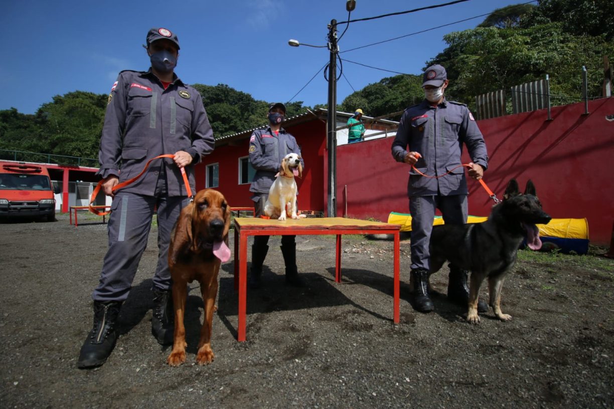 Xulins dos Bombeiros são especialistas em localizar desaparecidos