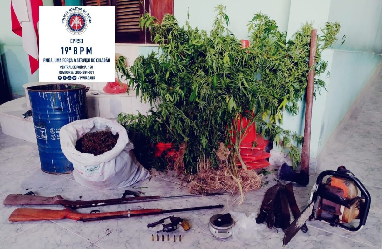 O maconheiro chora! Militares do 19º BPM Jequié destroem Roça de marijuana em Cravolândia.