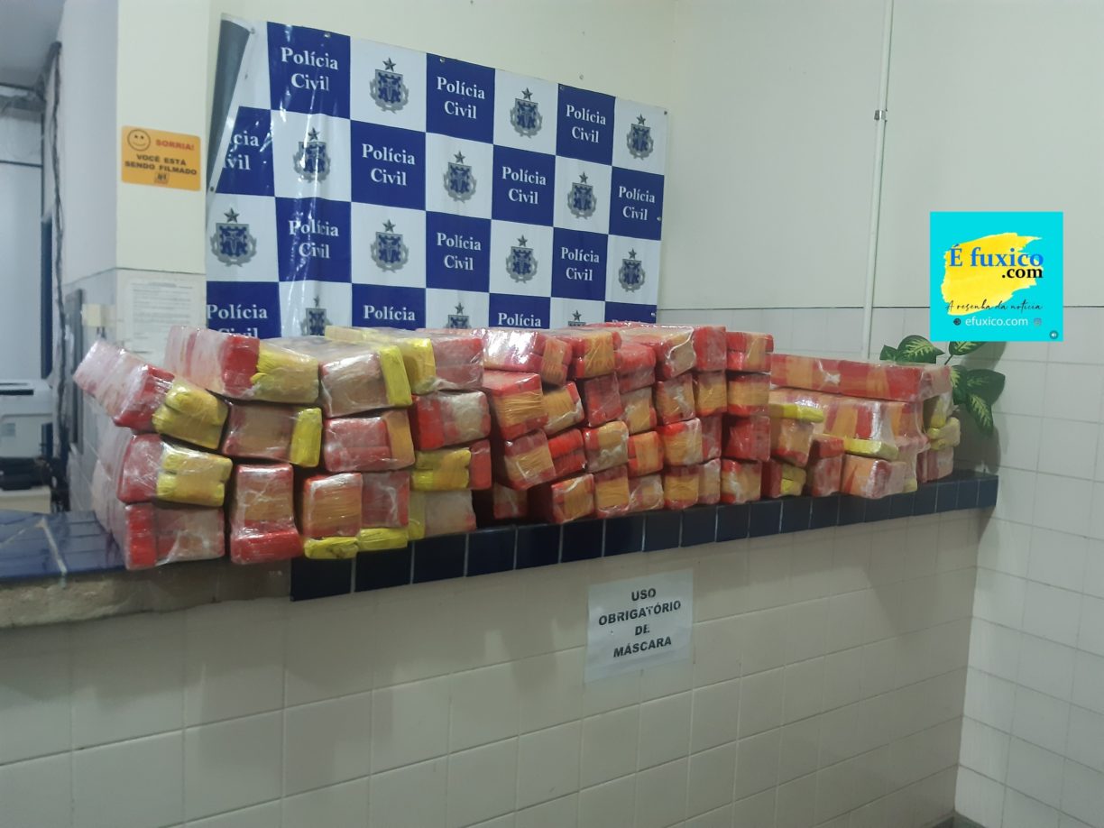 Em Brumado, Brocada da PRF apreende 200 kg de maconha e captura dois cramunhões na BR 030.