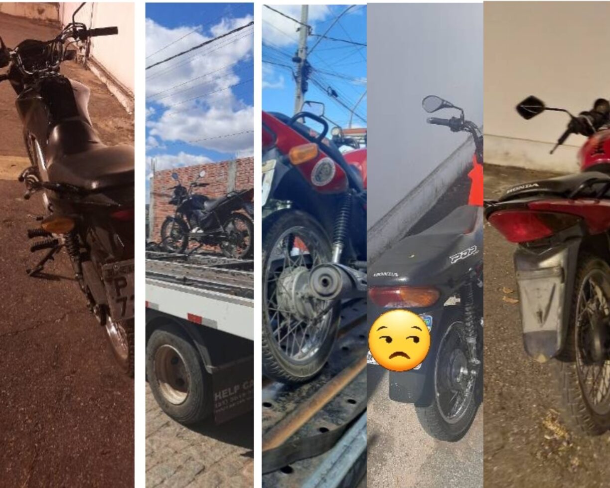 Tô invisível! Cabritas com Placas dobradas, sem placa ou com números barriados são recolhidas pelo PETO, em Brumado.