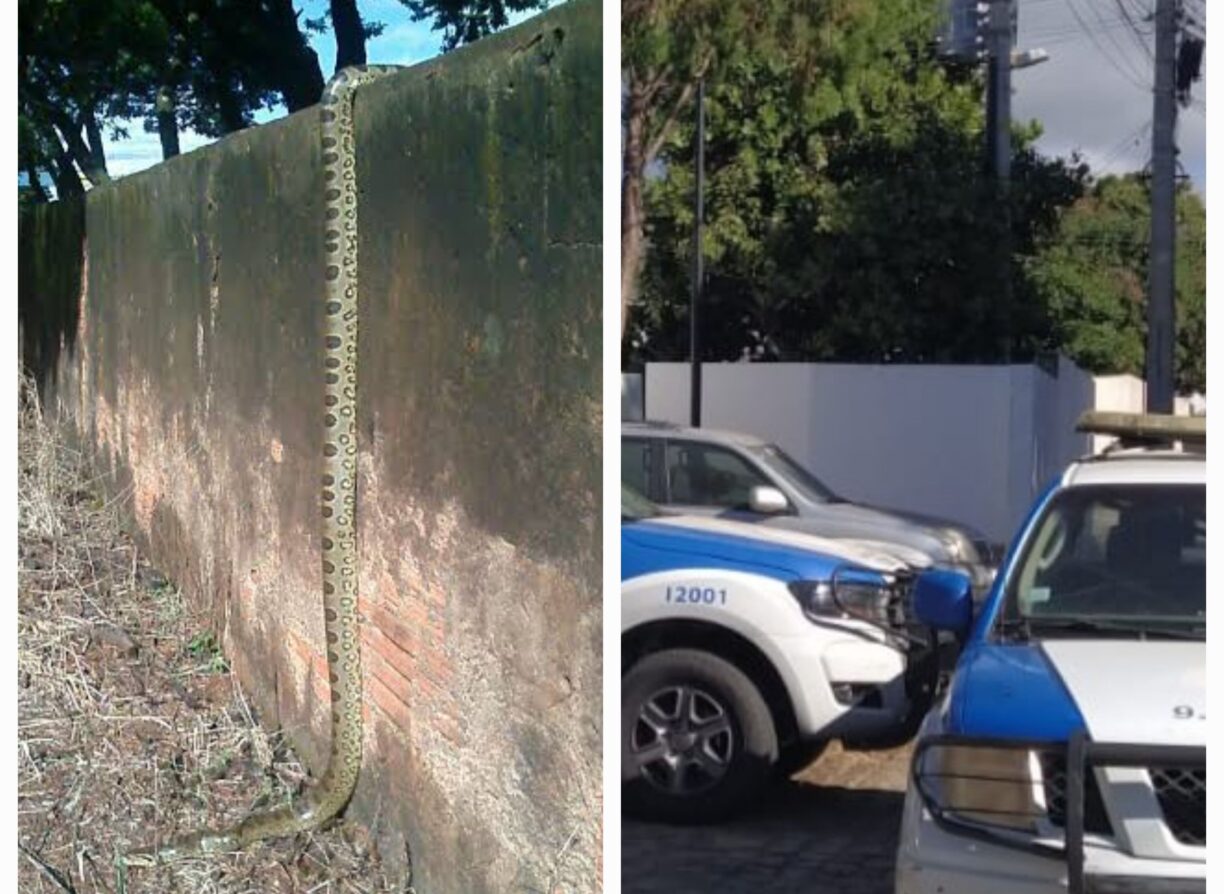 Em cima do muro! PM detém Cu de Galinha apurrinhando a vida da muié em Brumado.