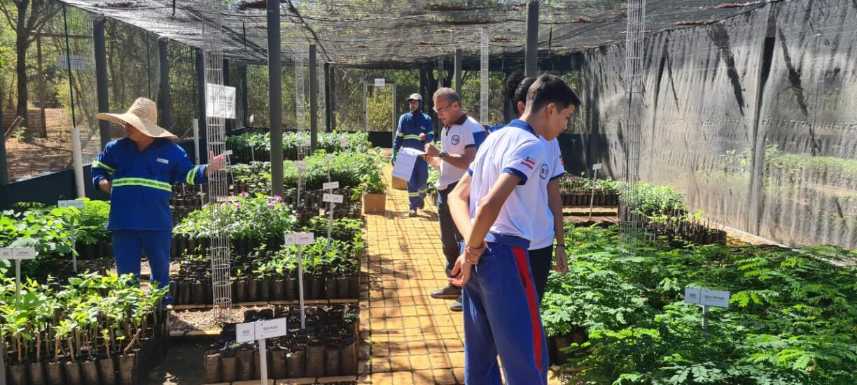 Brumado: Alunos da Escola Modelo CPM Visitam Horto Florestal da Magnesita.