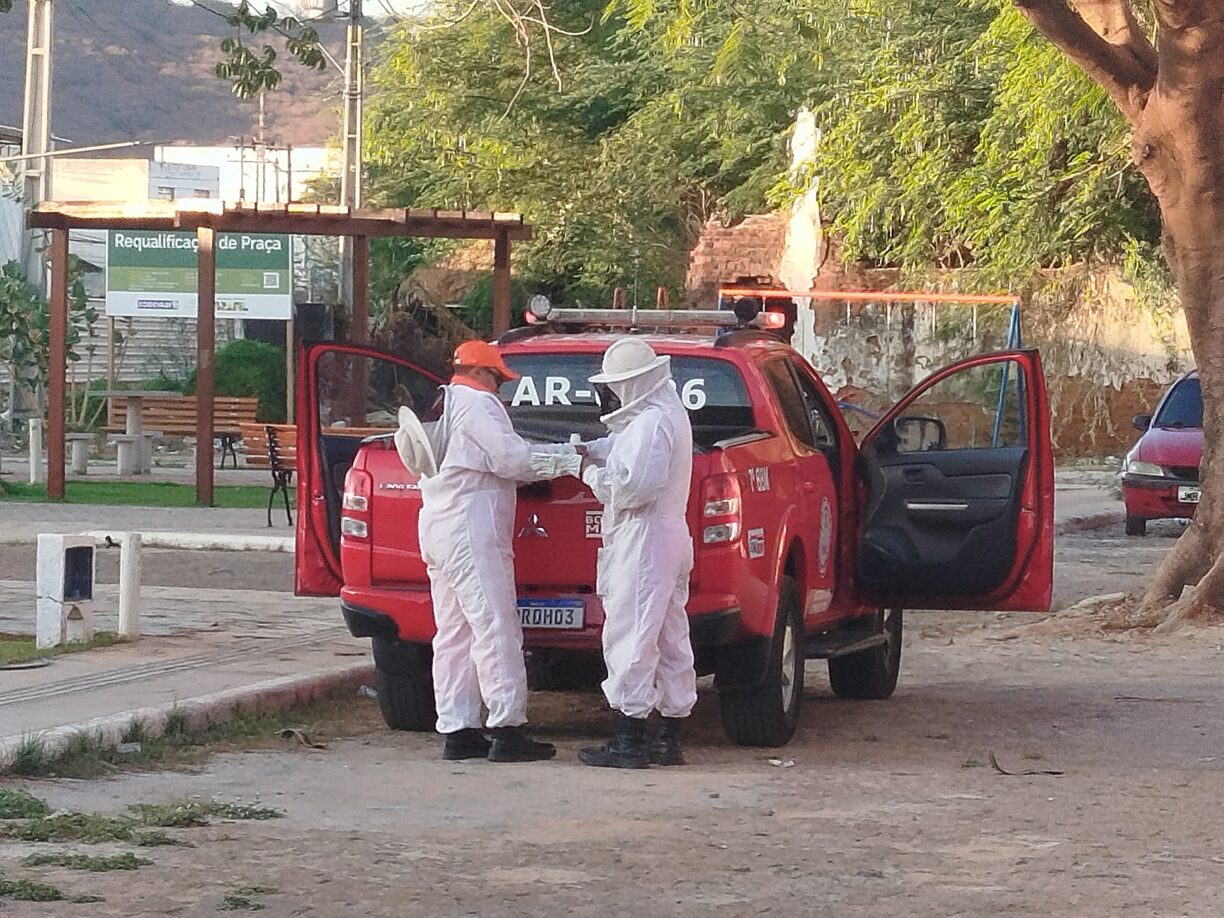 Em Brumado, Bombeiros são acionados para retirarem abelhas na Rua da Estação.