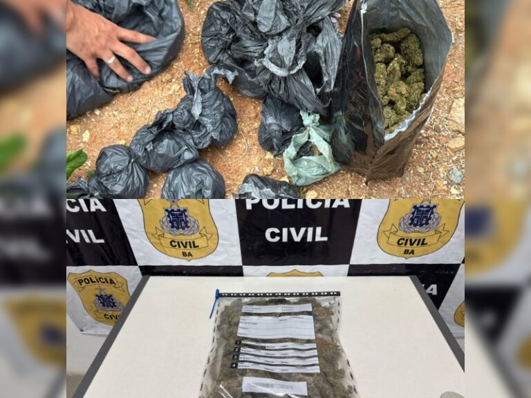 Ações de combate ao tráfico de drogas são realizadas em Jequié e Feira de Santana