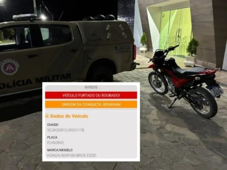 Força Total: Cabrita com restrição de furto é apreendida em Rio do Antônio