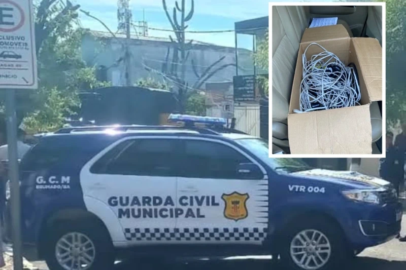 Brumado: Guarda Municipal recupera lâmpadas furtadas e captura “Pezão”